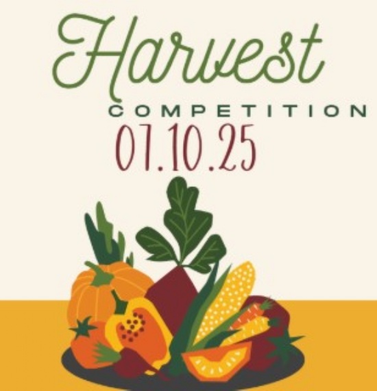 Newsletter - 03.10.25