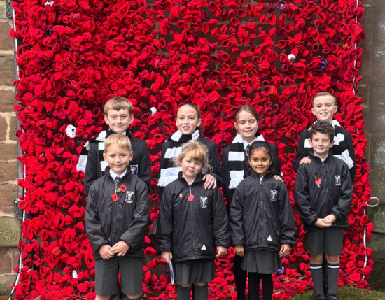 Newsletter - 14.11.25