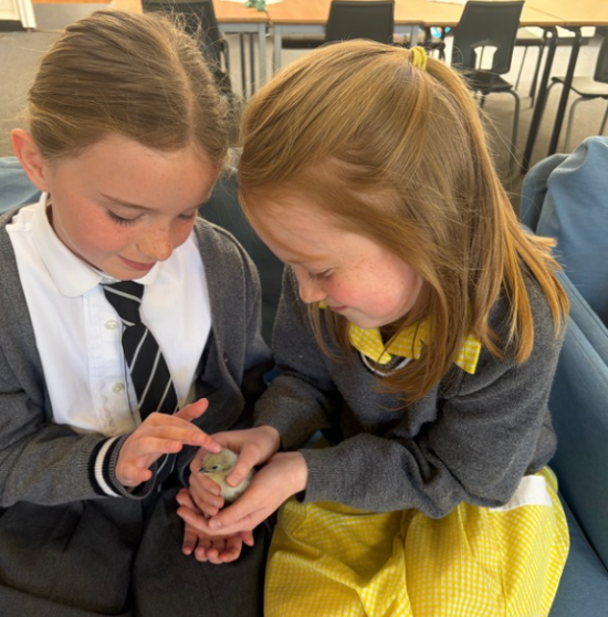 Newsletter - 24.04.26